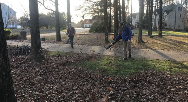 leaf-cleanup-removal-mechanicsville-and-hanover-county-virginia